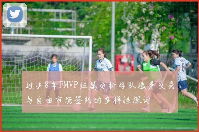 过去8年FMVP归属分析母队选秀交易与自由市场签约的多样性探讨